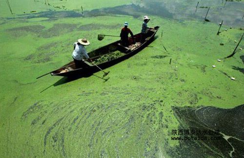 水網(wǎng)_SHUI.ORG